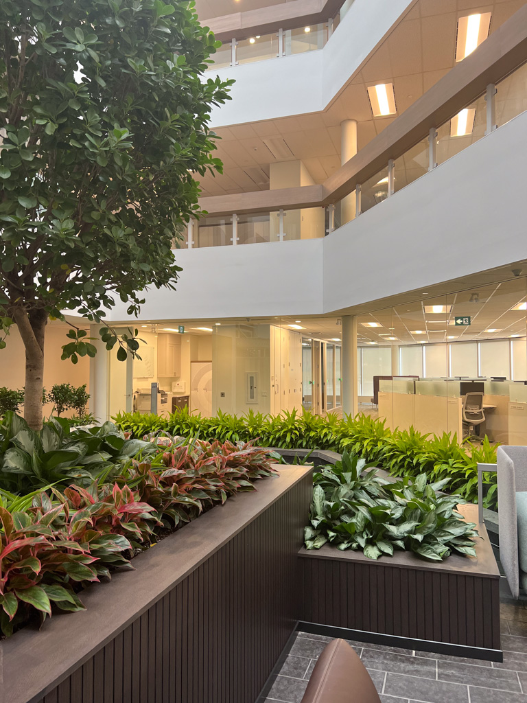 Natural light fills CNO’s lobby and workspaces.