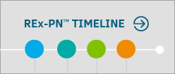 REx-PN - Timeline